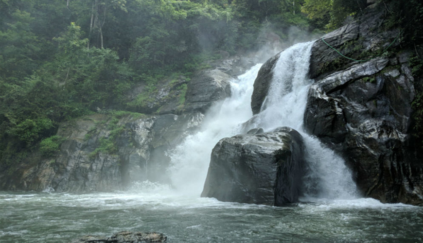 Embarking on a journey to Ponmudi Kallar is an experience like no other