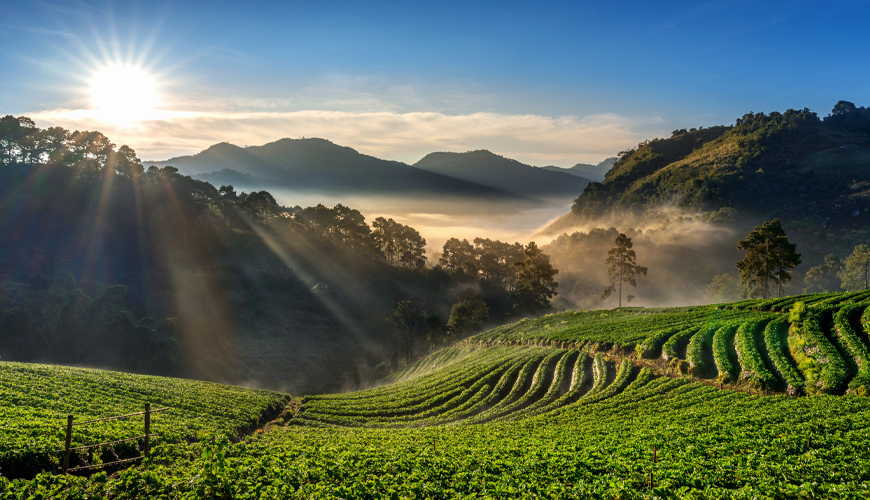 Kerala - A Journey through the Beauty of Nature