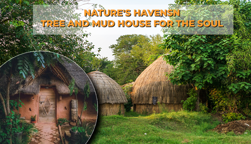 Nature's Havens: Tree and Mud House for the Soul